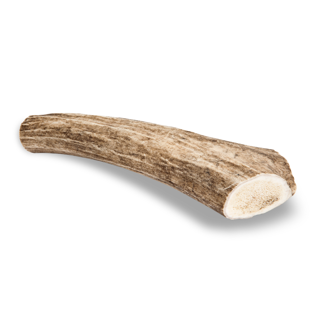 Antler Chew Deer - Large
