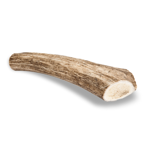 Antler Chew Deer - Large